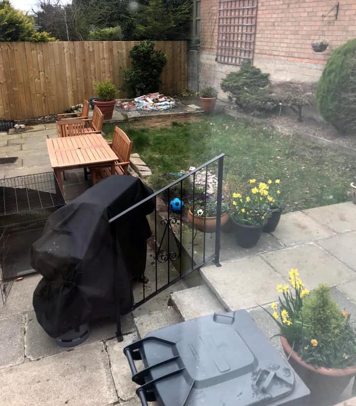 Before picture of an overgrown garden and broken paving slabs